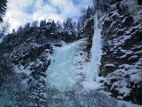 100_0046.JPG