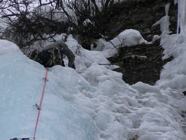 P1050446.JPG