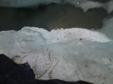 DSC00310.JPG