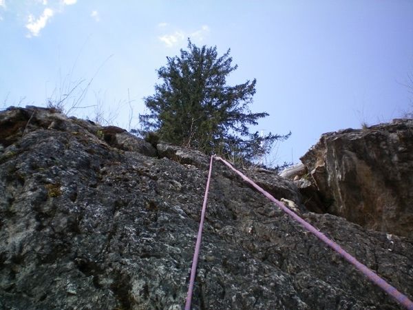 100_0005.JPG