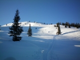 100_0008.jpg