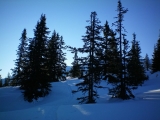 100_0009.jpg