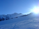 DSC00041.jpg